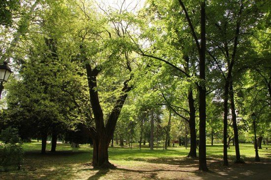 Plimbări în Jelovac Park